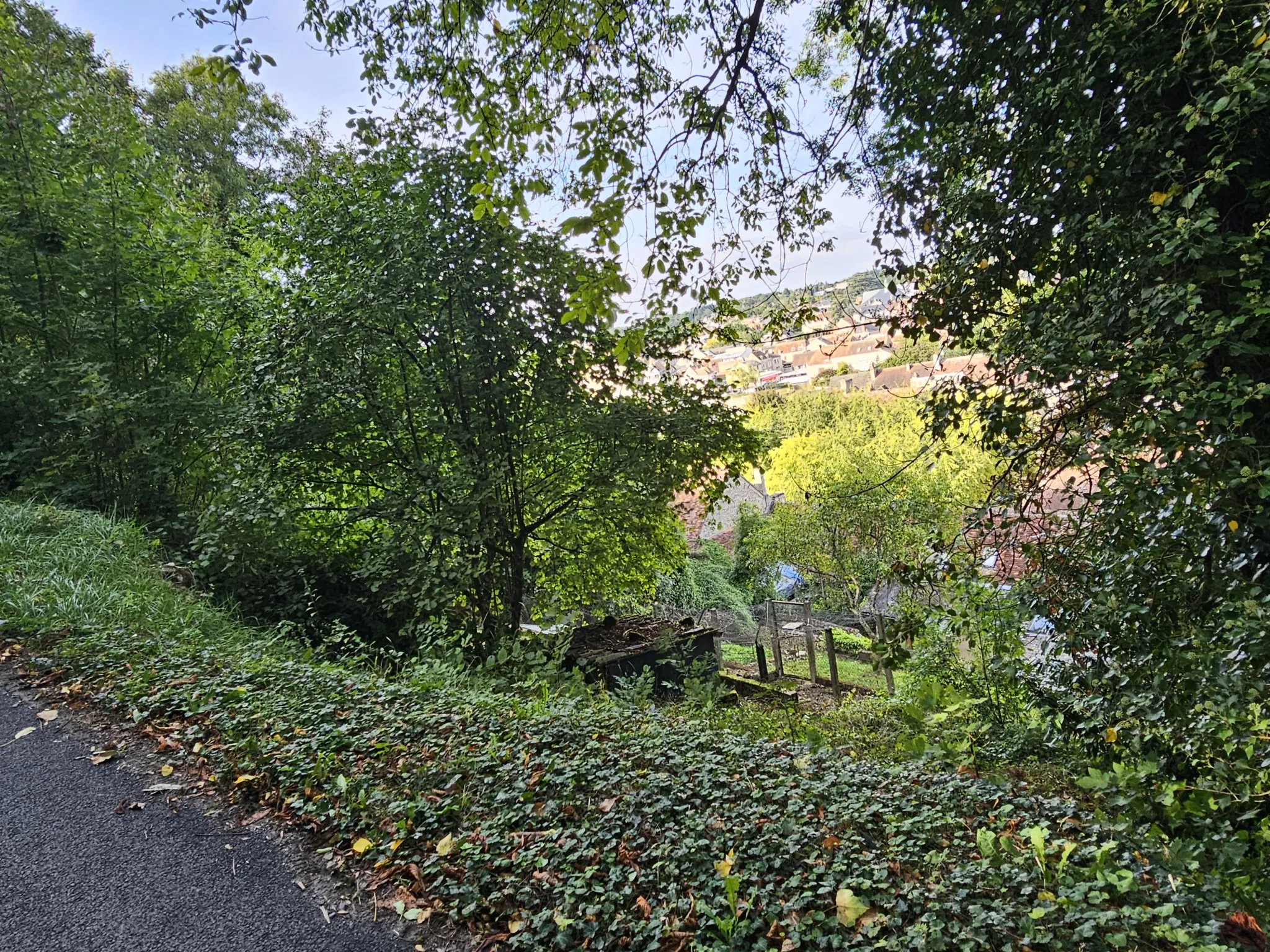 Maison à vendre avec jardin et 3 chambres à Le Blanc 