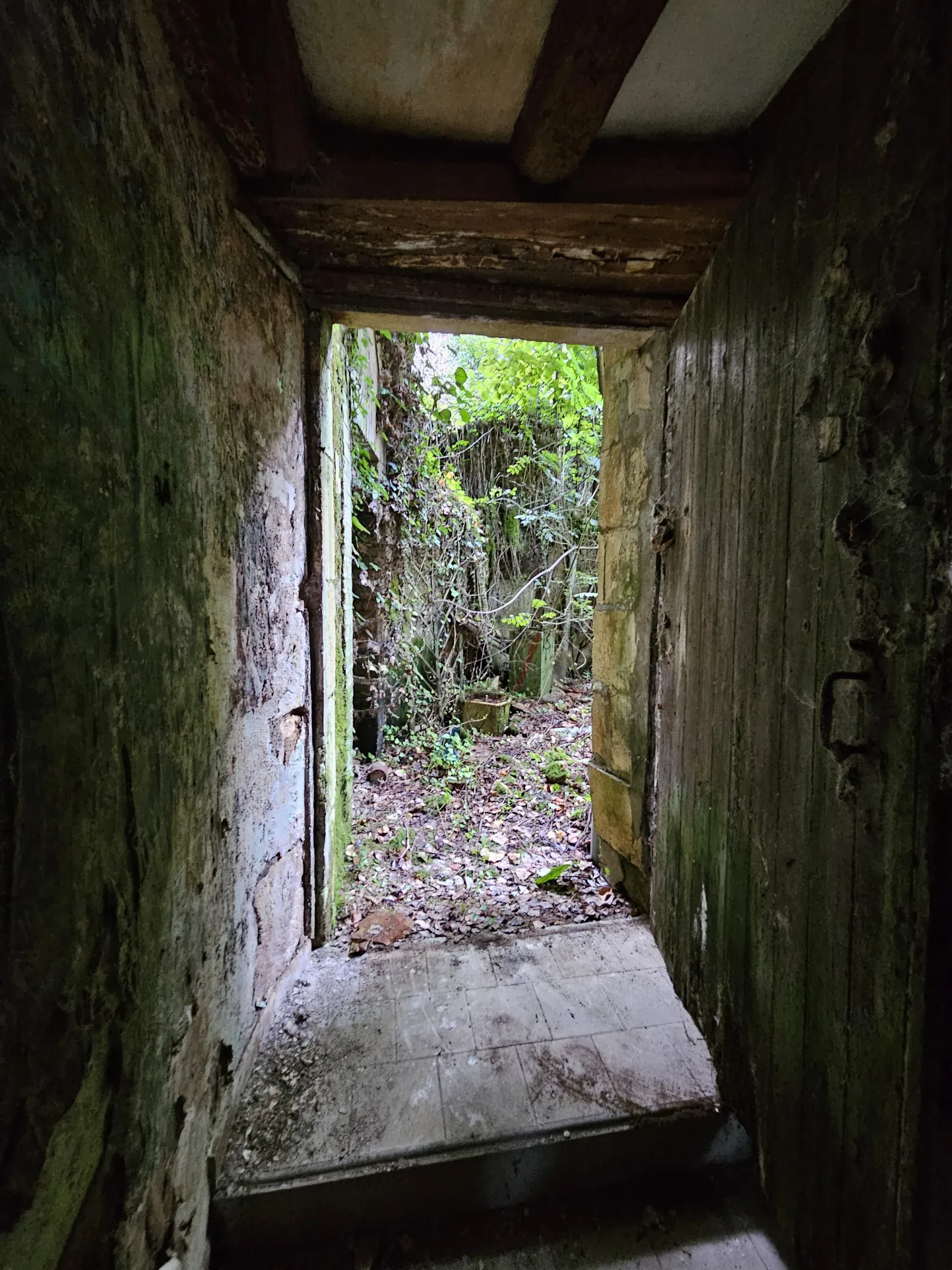 Maison à vendre avec jardin et 3 chambres à Le Blanc 