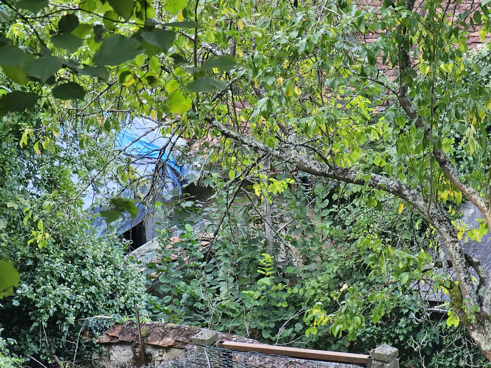 Maison à vendre avec jardin et 3 chambres à Le Blanc 
