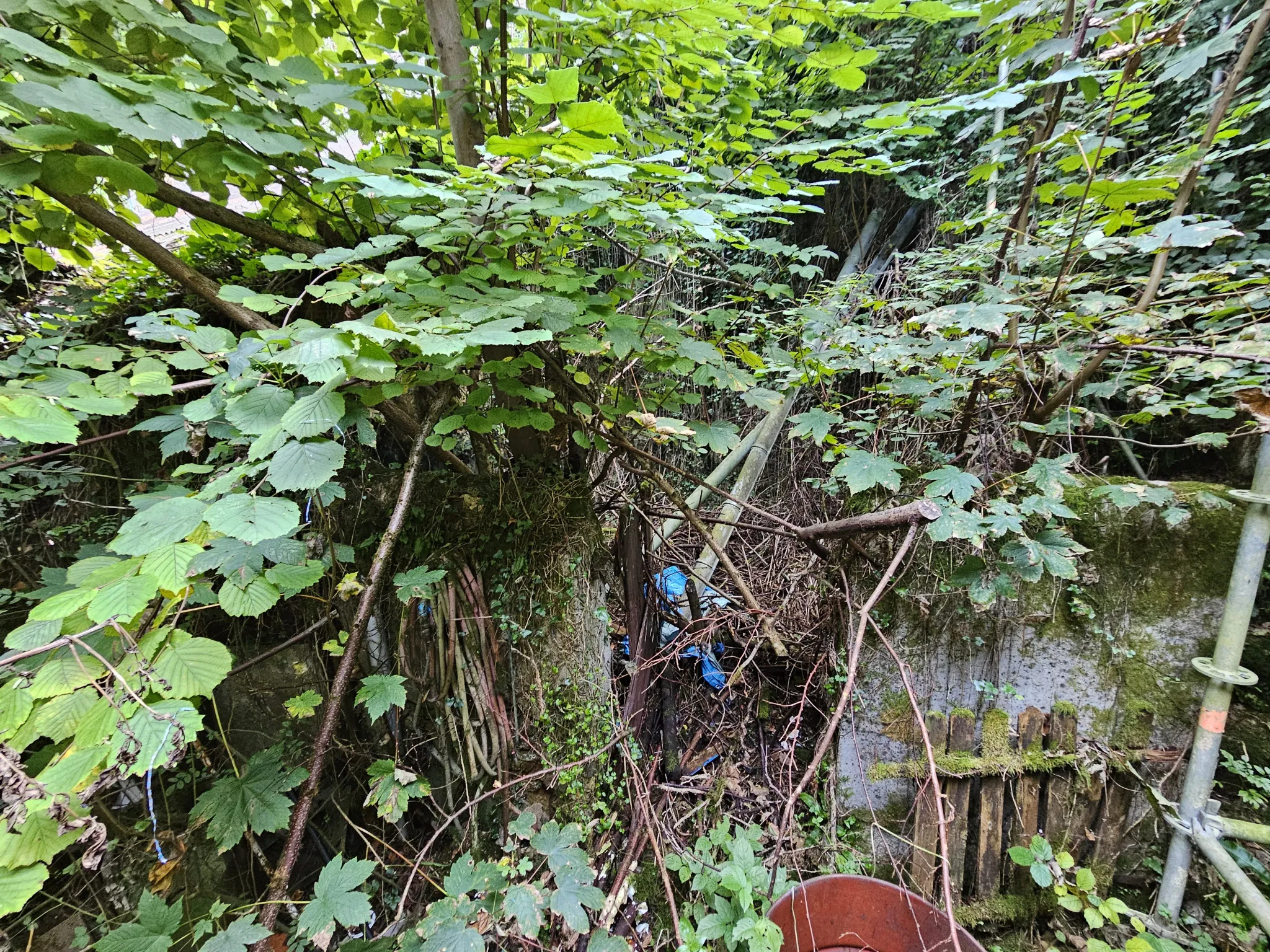 Maison à vendre avec jardin et 3 chambres à Le Blanc 
