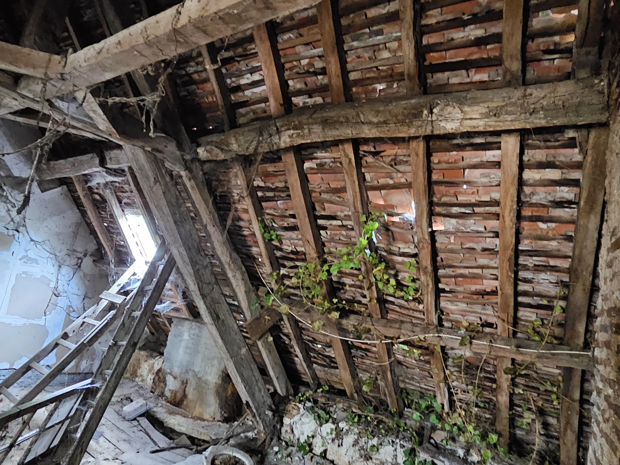Maison à vendre avec jardin et 3 chambres à Le Blanc 