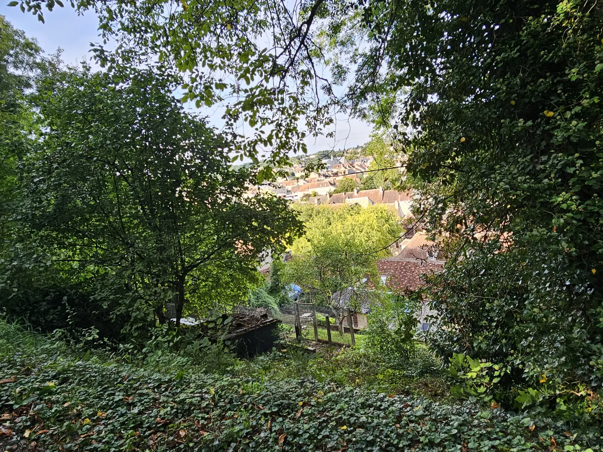 Maison à vendre avec jardin et 3 chambres à Le Blanc 