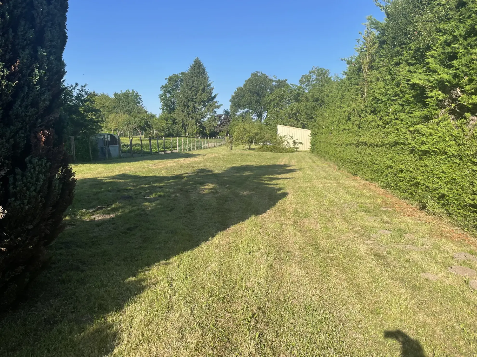 Terrain de loisir arboré à vendre à Le Lude - Surface de 1700 m²