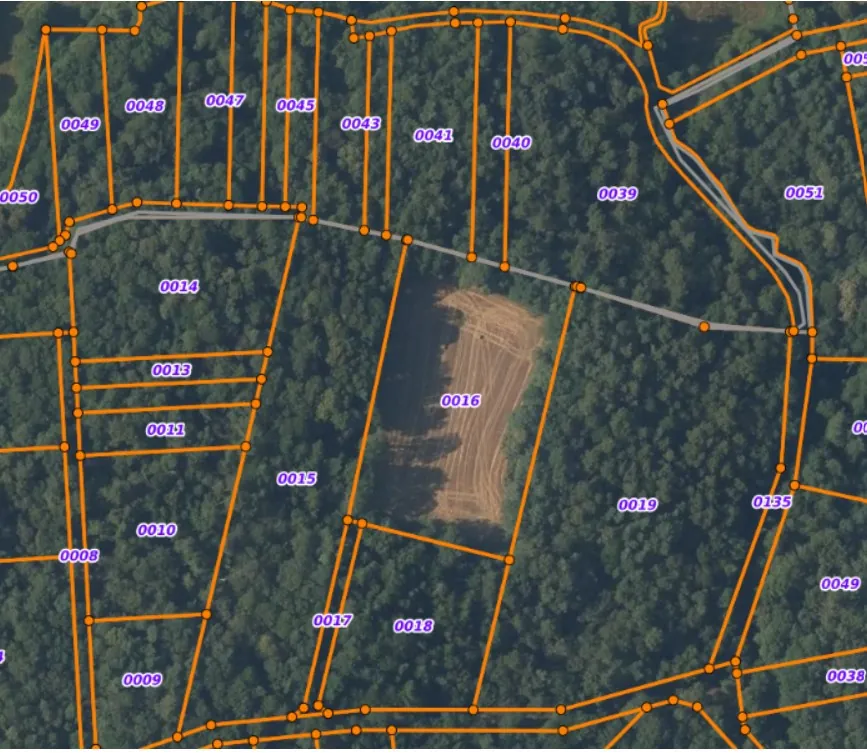 Terrain boisé non constructible à Guer en zone naturelle, idéal pour loisirs 