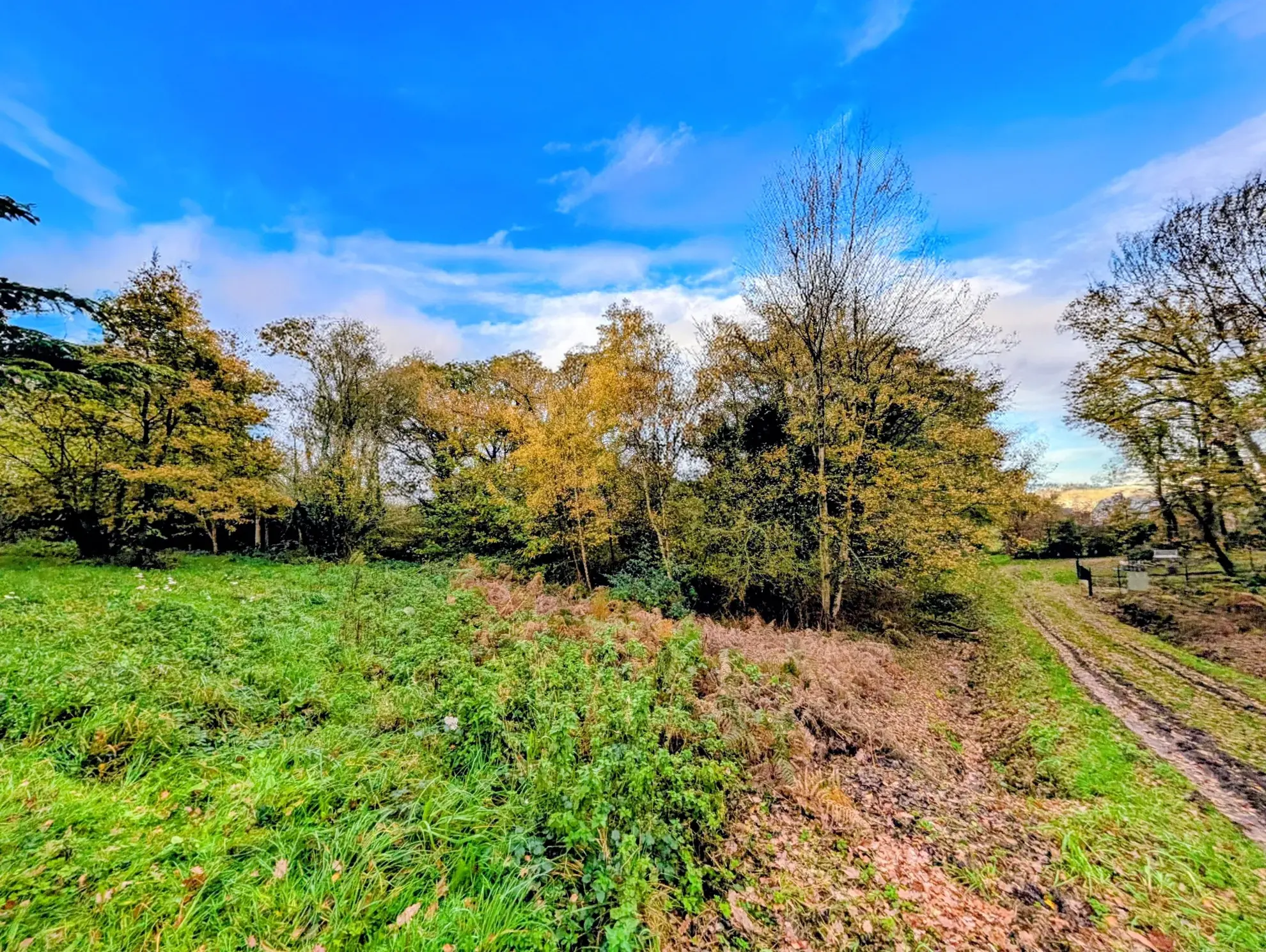 Terrain boisé non constructible à Guer en zone naturelle, idéal pour loisirs
