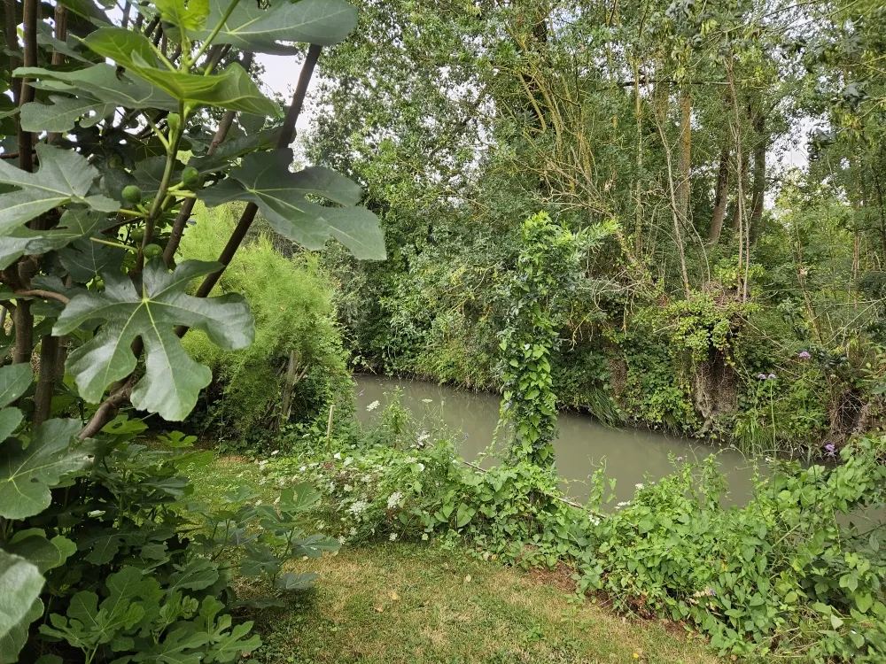 Ensemble Immobilier avec Jardin et Dépendance à Saint-Sigismond, Vendée 
