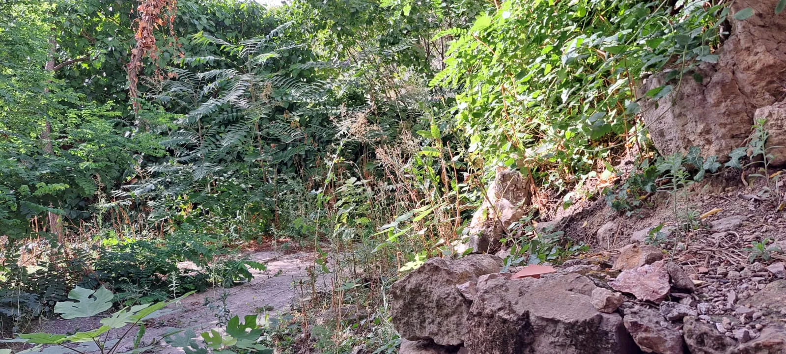 Vente maison de village avec jardin et parking à Saint-Savournin 