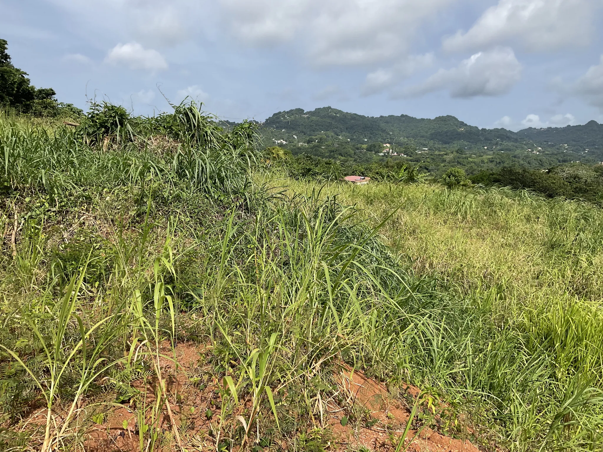 Terrain à bâtir de 495,48 m² au Robert – Vue dégagée et emplacement stratégique 