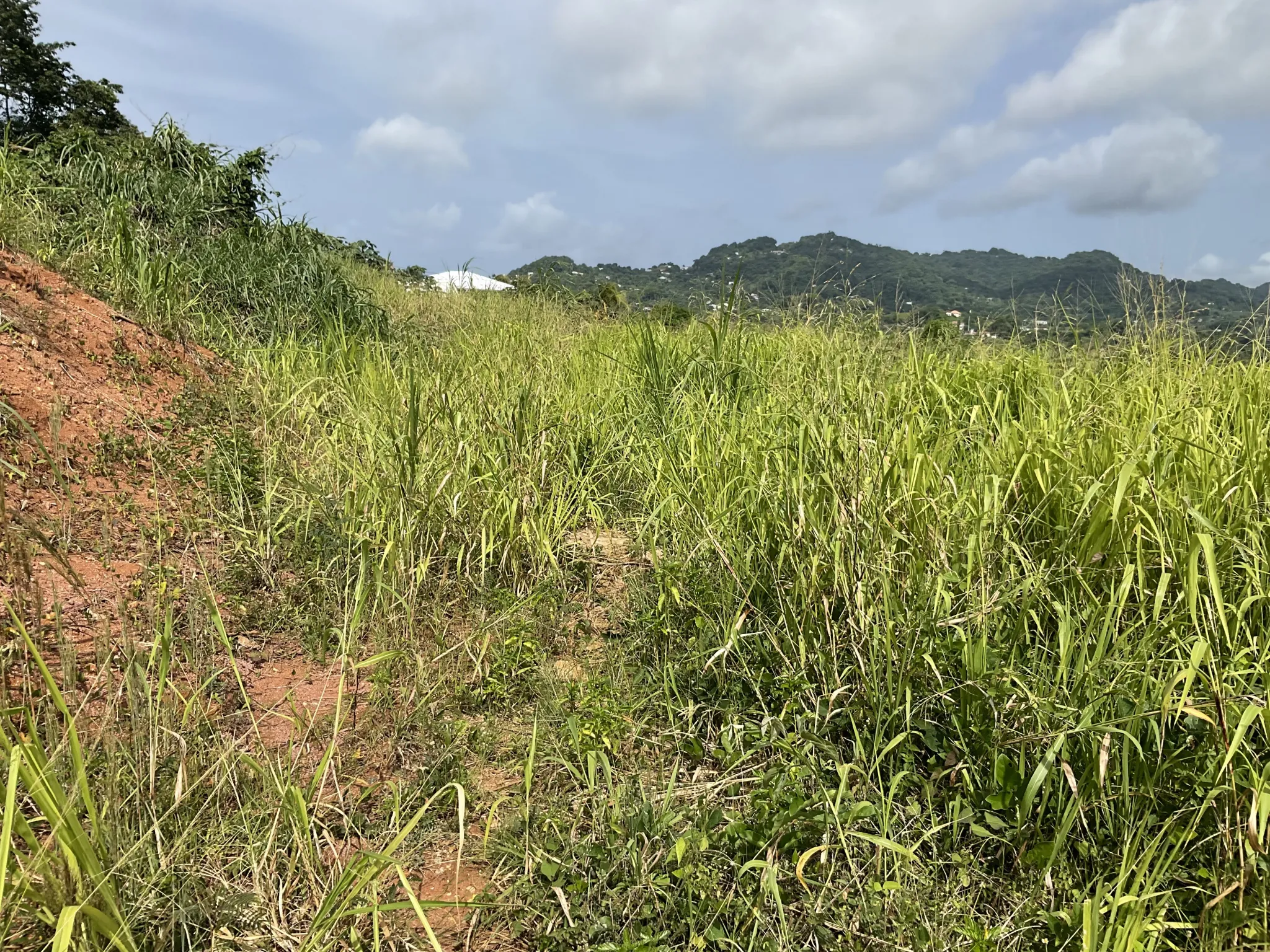 Terrain à bâtir de 495,48 m² au Robert – Vue dégagée et emplacement stratégique 