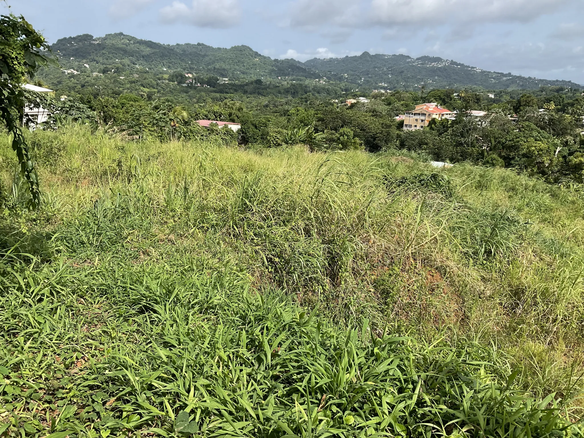 Terrain à bâtir de 495,48 m² au Robert – Vue dégagée et emplacement stratégique 