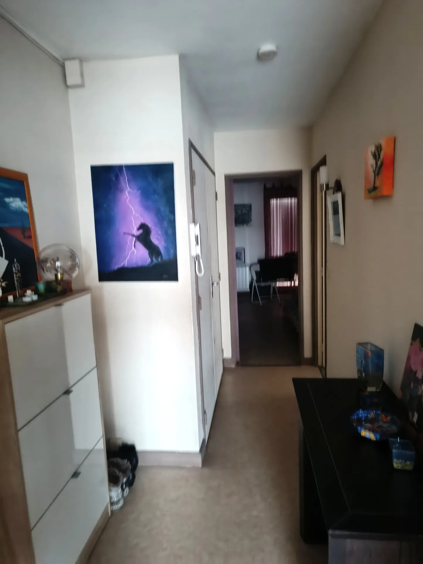 Appartements F2 à Vierzon avec balcon, garage et cave – Investissement locatif stable 