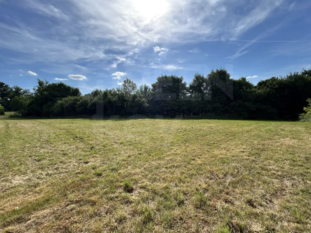 Maison de 215 m² avec piscine et grand terrain à Saint-Martin-des-Champs (89170) 