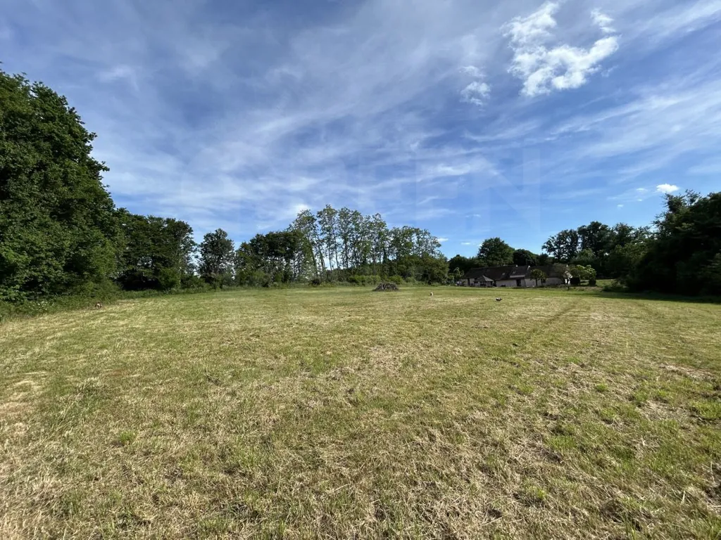 Maison de 215 m² avec piscine et grand terrain à Saint-Martin-des-Champs (89170) 