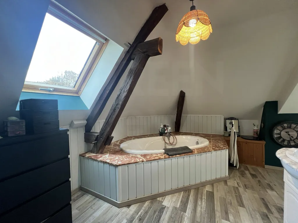 Maison de 215 m² avec piscine et grand terrain à Saint-Martin-des-Champs (89170) 