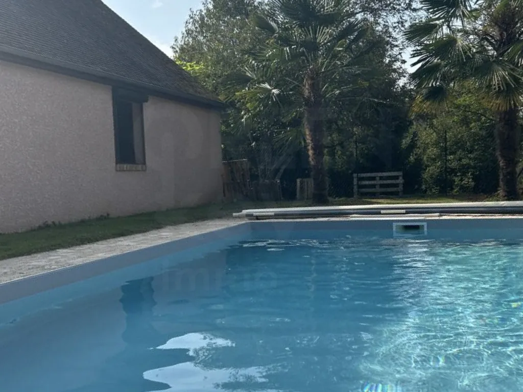 Maison de 215 m² avec piscine et grand terrain à Saint-Martin-des-Champs (89170) 
