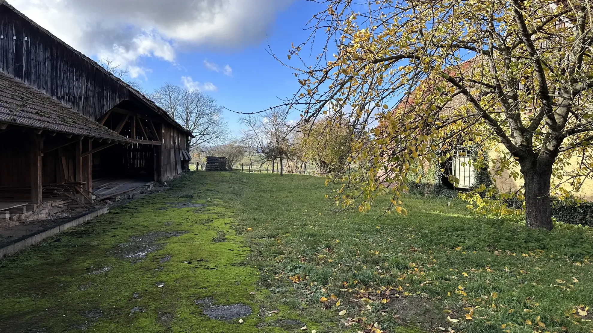 Terrain constructible à Altenheim de 13,50 ares avec dépendance 