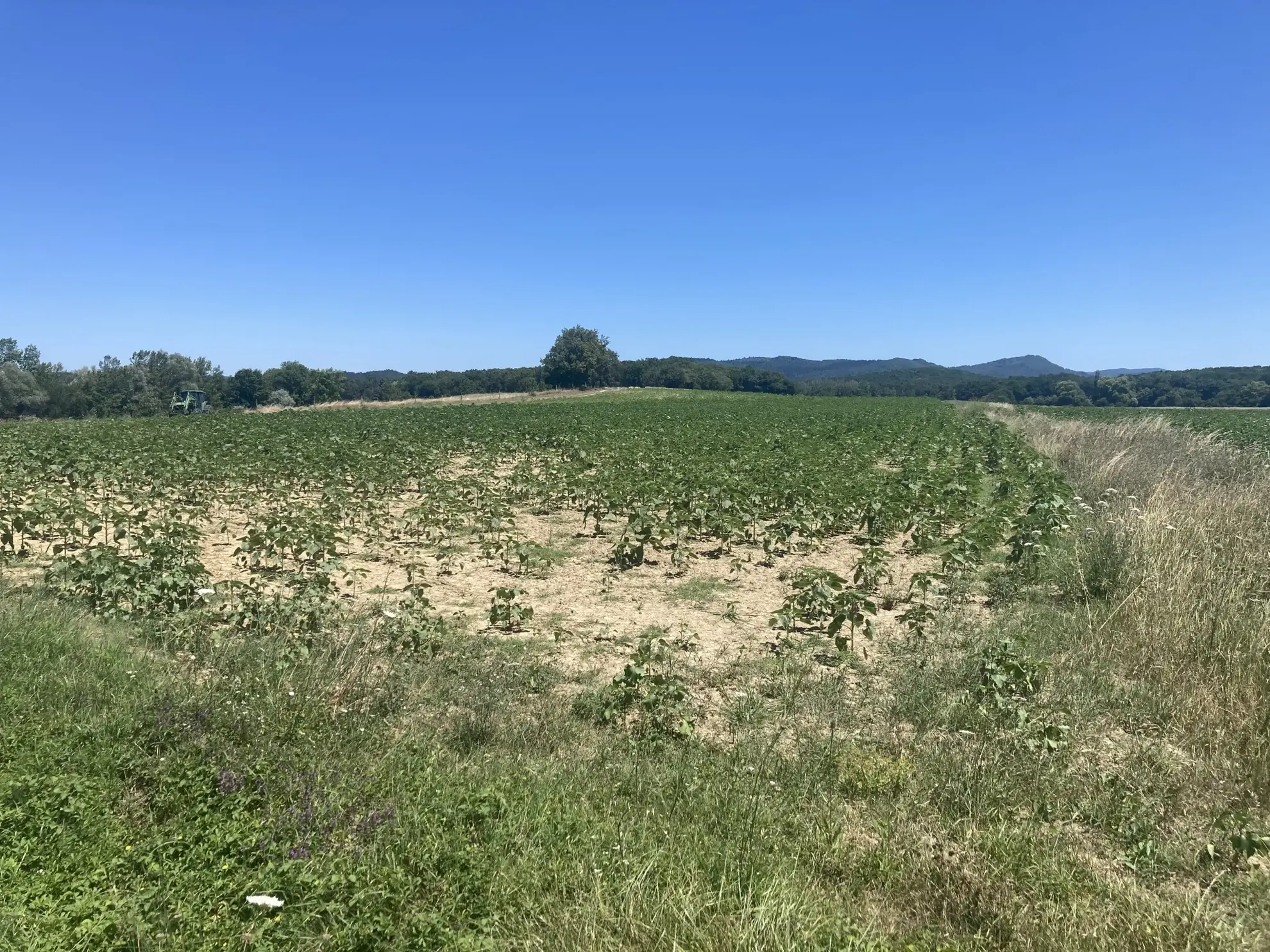 Achat terrain agricole à Léran (09) pour 18 900 € - Grande surface 