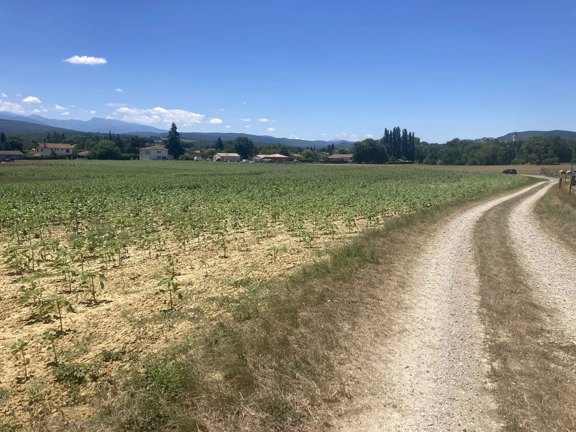 Achat terrain agricole à Léran (09) pour 18 900 € - Grande surface 
