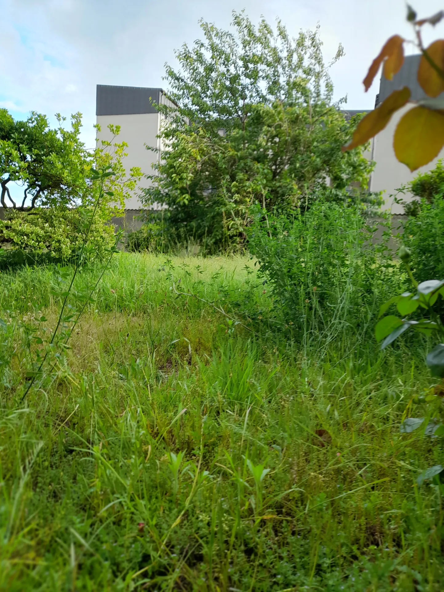 Appartement 2 chambres à vendre à Vierzon proche centre-ville et gare 