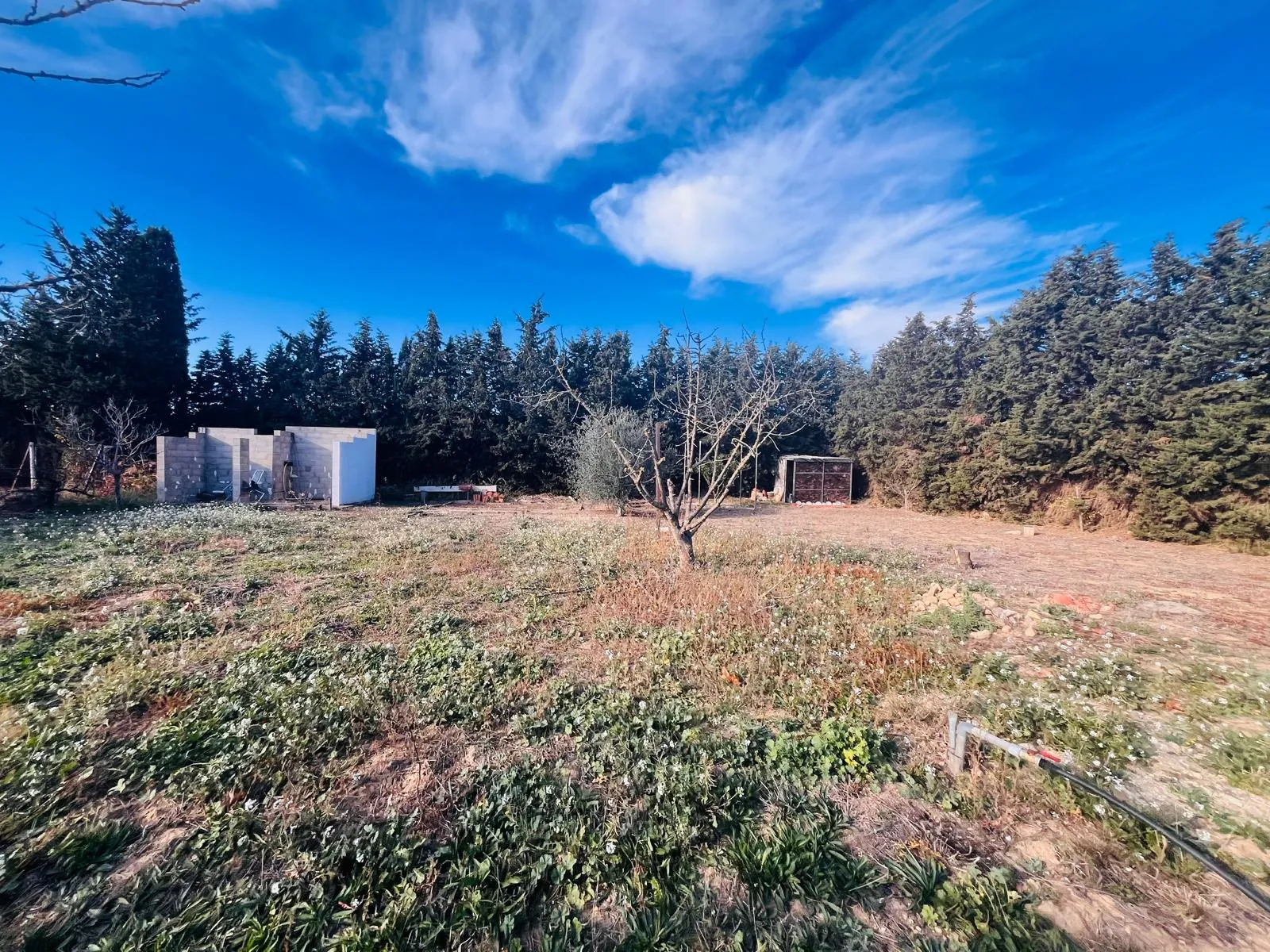 Terrain de loisir de 1995 m² à Thuir avec forage et accès facile