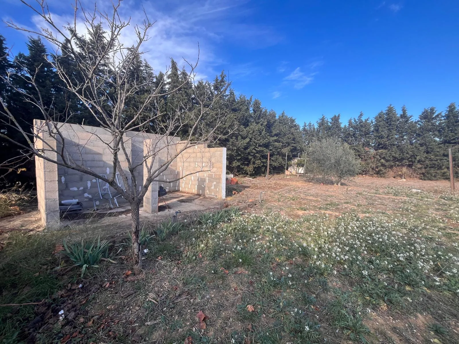 Terrain de loisir de 1995 m² à Thuir avec forage et accès facile 