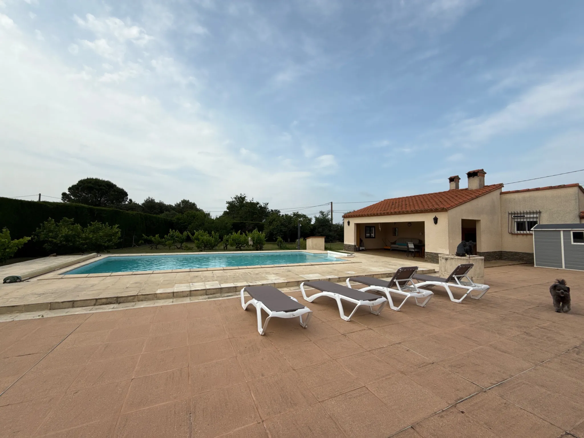 Terrain constructible avec studio, piscine et vue à Maureillas las Illas