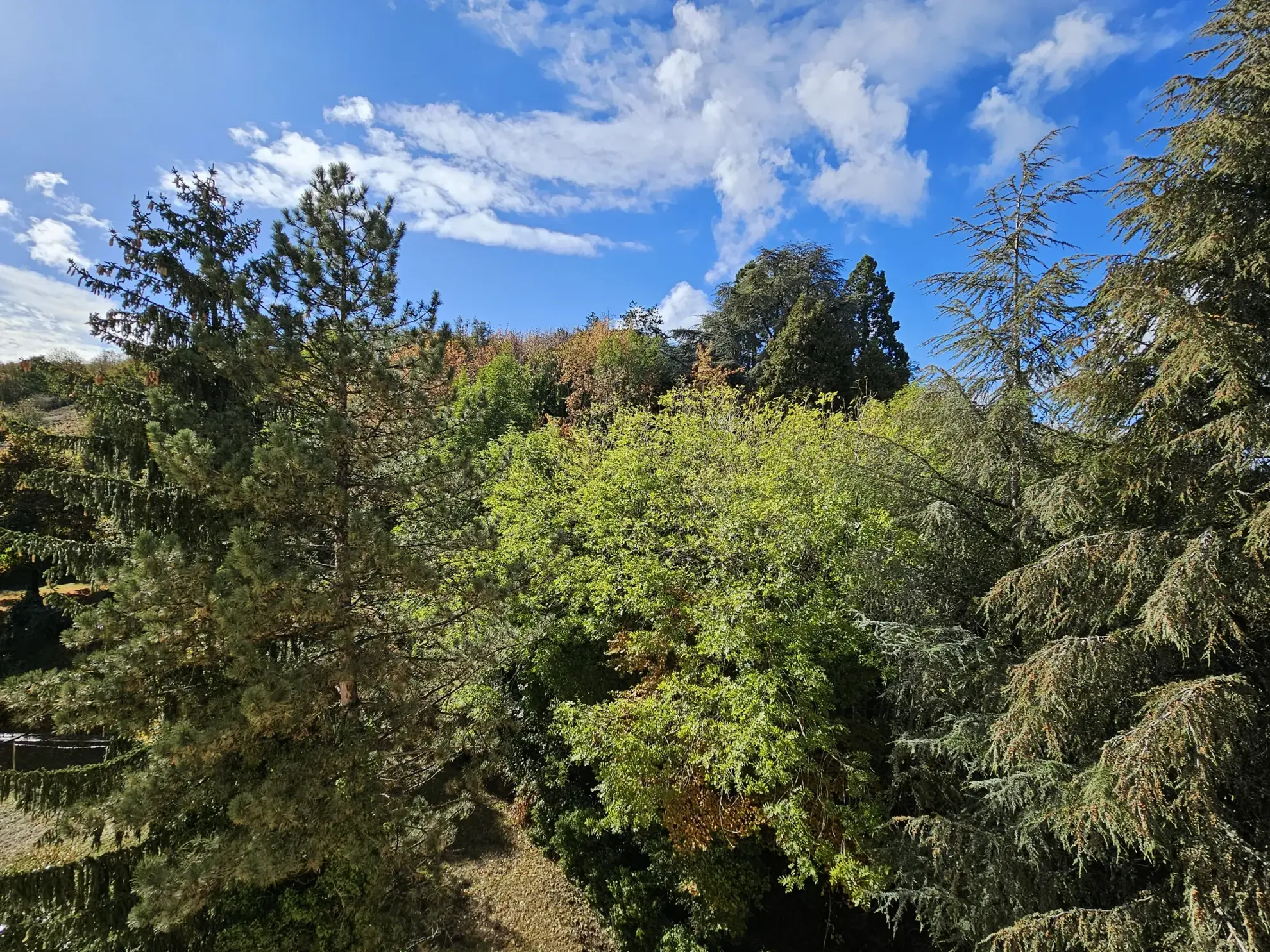 Appartement T3 de 52 m² avec balcon à Saint-Étienne, dernier étage