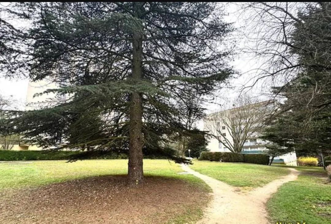 Grand appartement de 112 m² avec balcon à Ris Orangis - Idéal famille et colocation