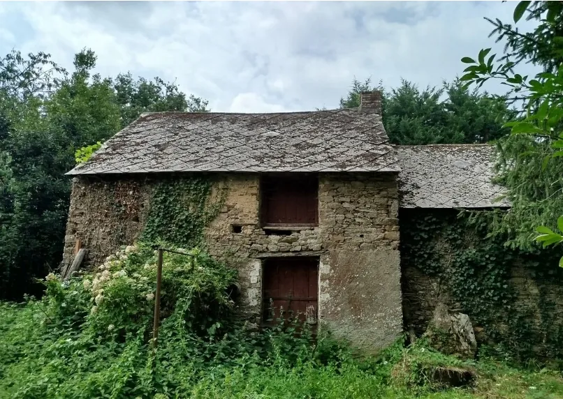 Opportunité d’achat d’une longère en pierre à Bouvron, proche Nantes, avec grand terrain et dépendances 