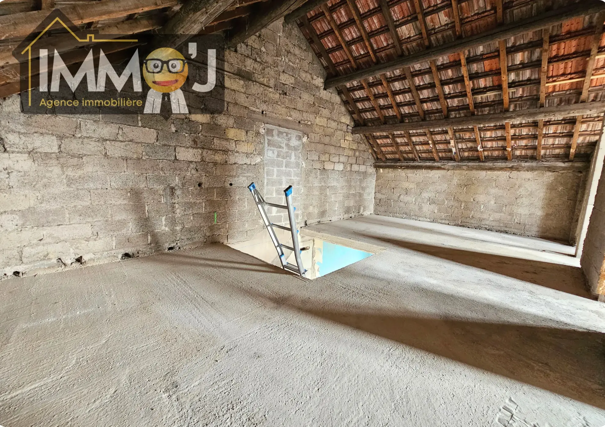 Maison à Neuves-Maisons à Rénover avec Jardin, Potentiel et Calme 