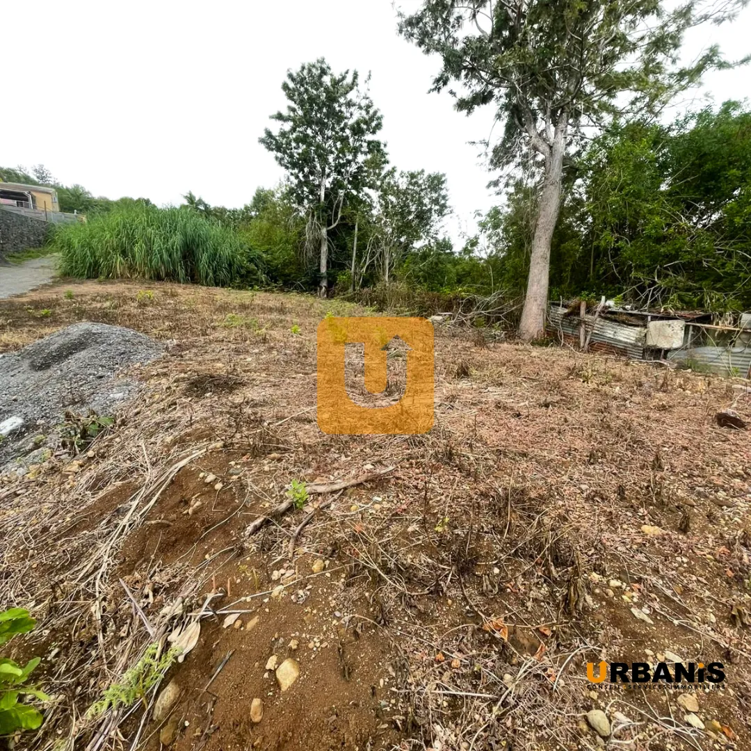 Terrain constructible de 409 m² en centre-ville des Trois-Bassins 