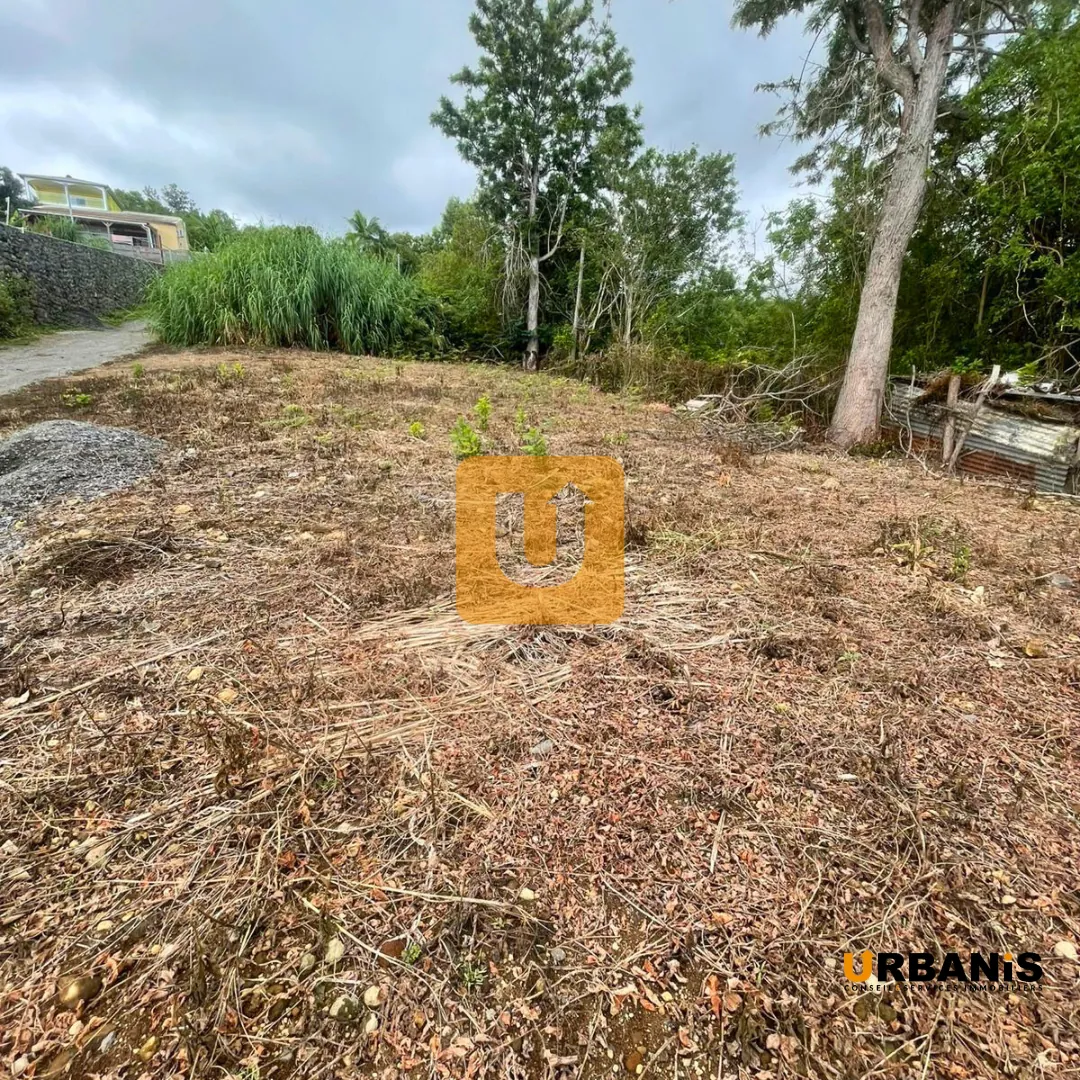 Terrain constructible de 409 m² en centre-ville des Trois-Bassins 