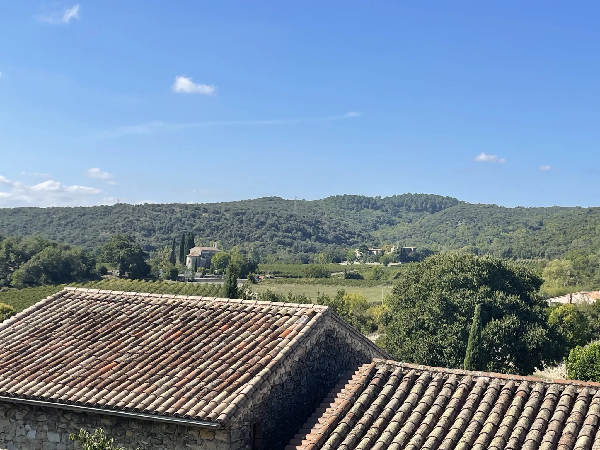 Maison en pierres avec piscine, jardin et espace indépendant à Tornac près d'Anduze 