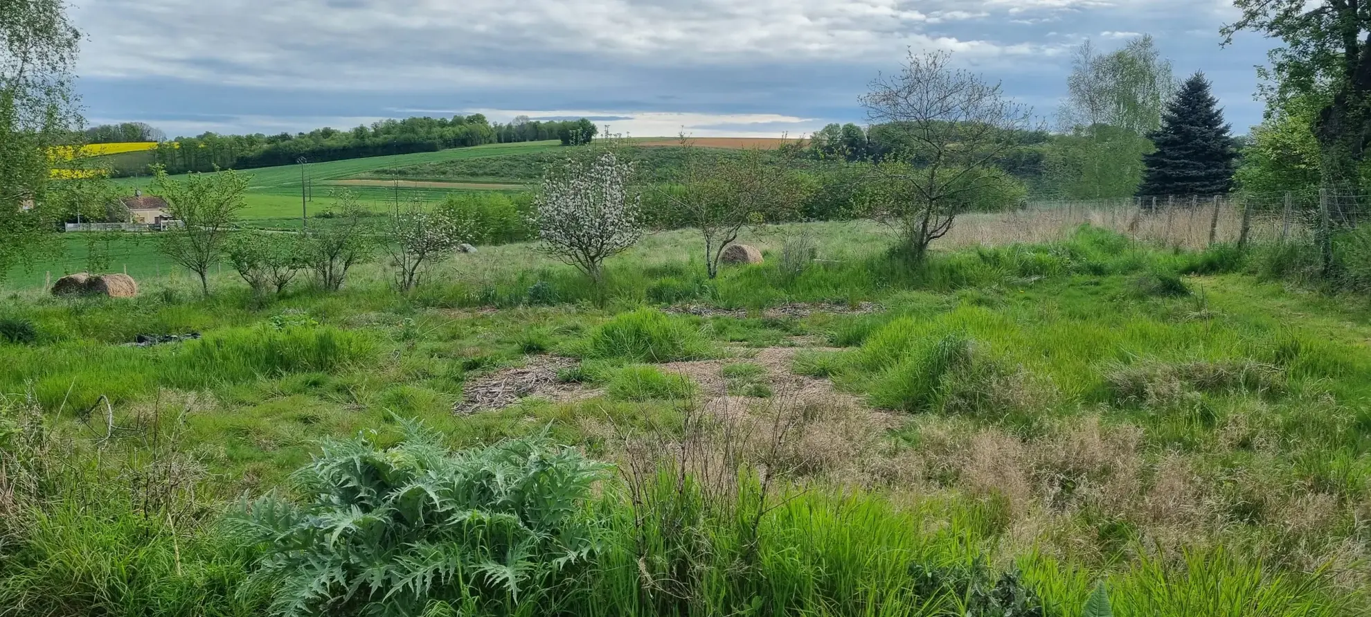 Maison à vendre à Vendôme - 164 m², jardin, piscine et terrain de 7540 m² 