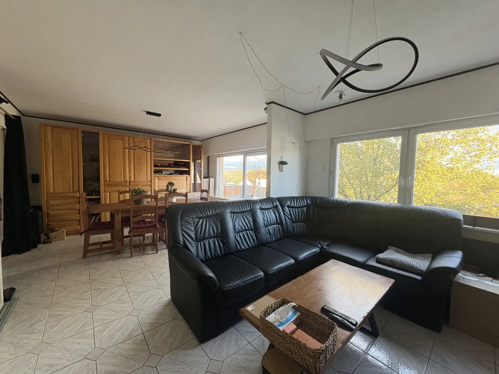 Appartement F4 à Kembs avec terrasse, double garage et vue dégagée 