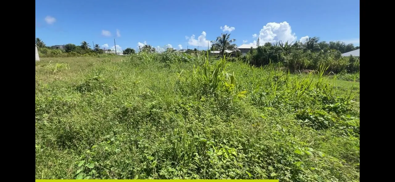 Terrain constructible de 625 m² au Moule, calme et proche des commodités 