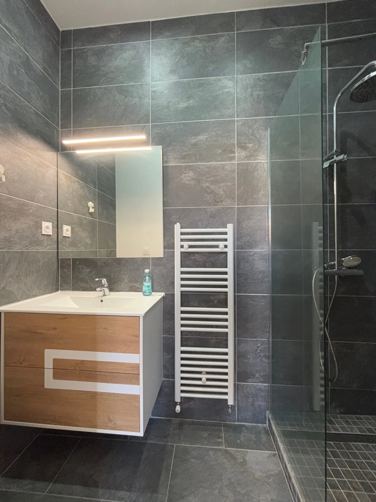 Appartement T4 rénové en centre-ville de Saint-Étienne avec 3 chambres 