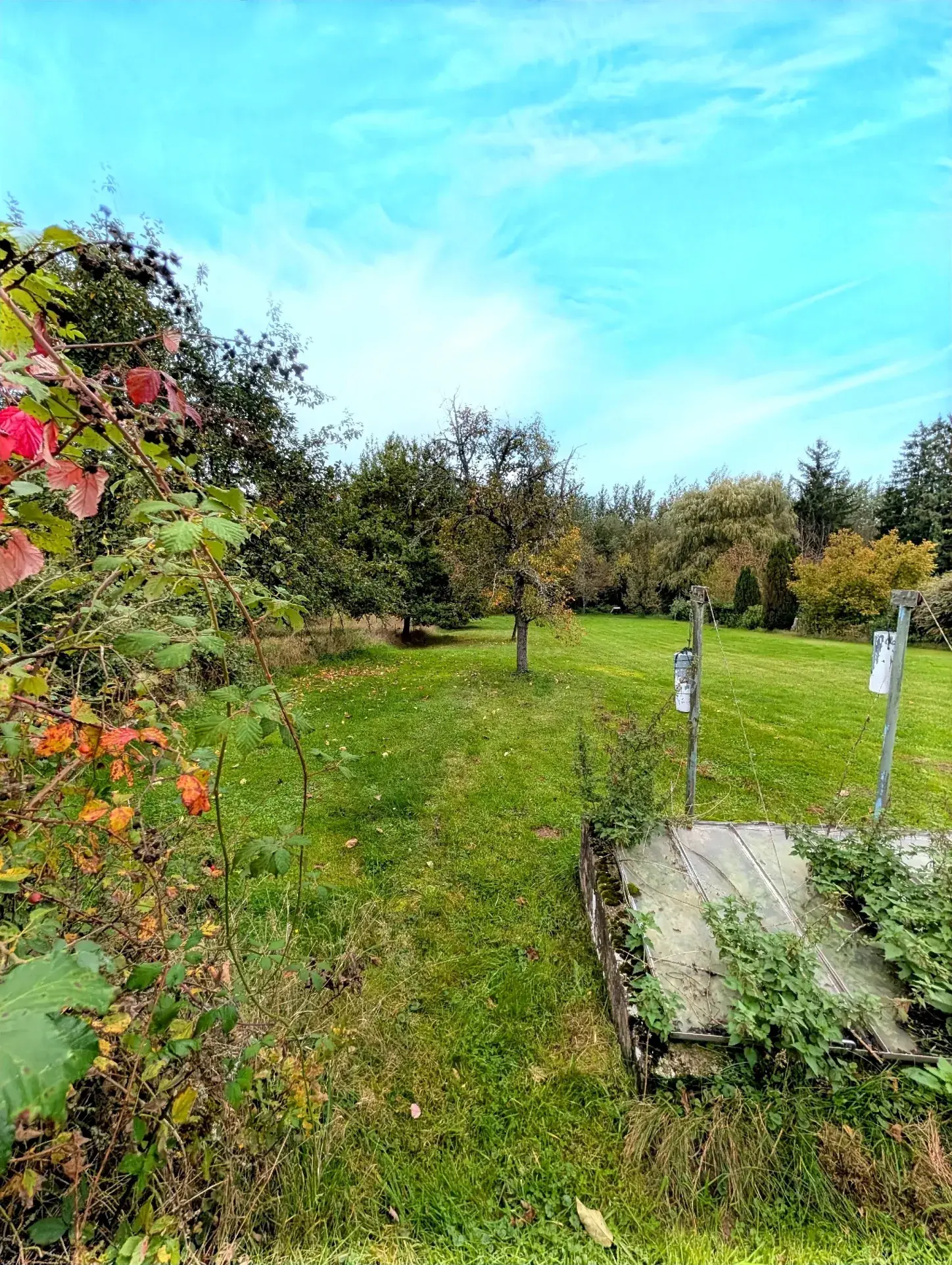 Maison 5 pièces à Falck avec grand terrain, garage et dépendance 
