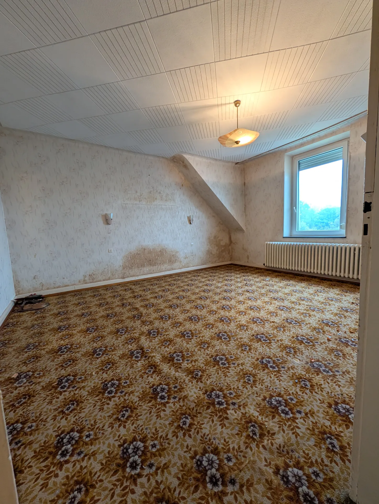 Maison 5 pièces à Falck avec grand terrain, garage et dépendance 