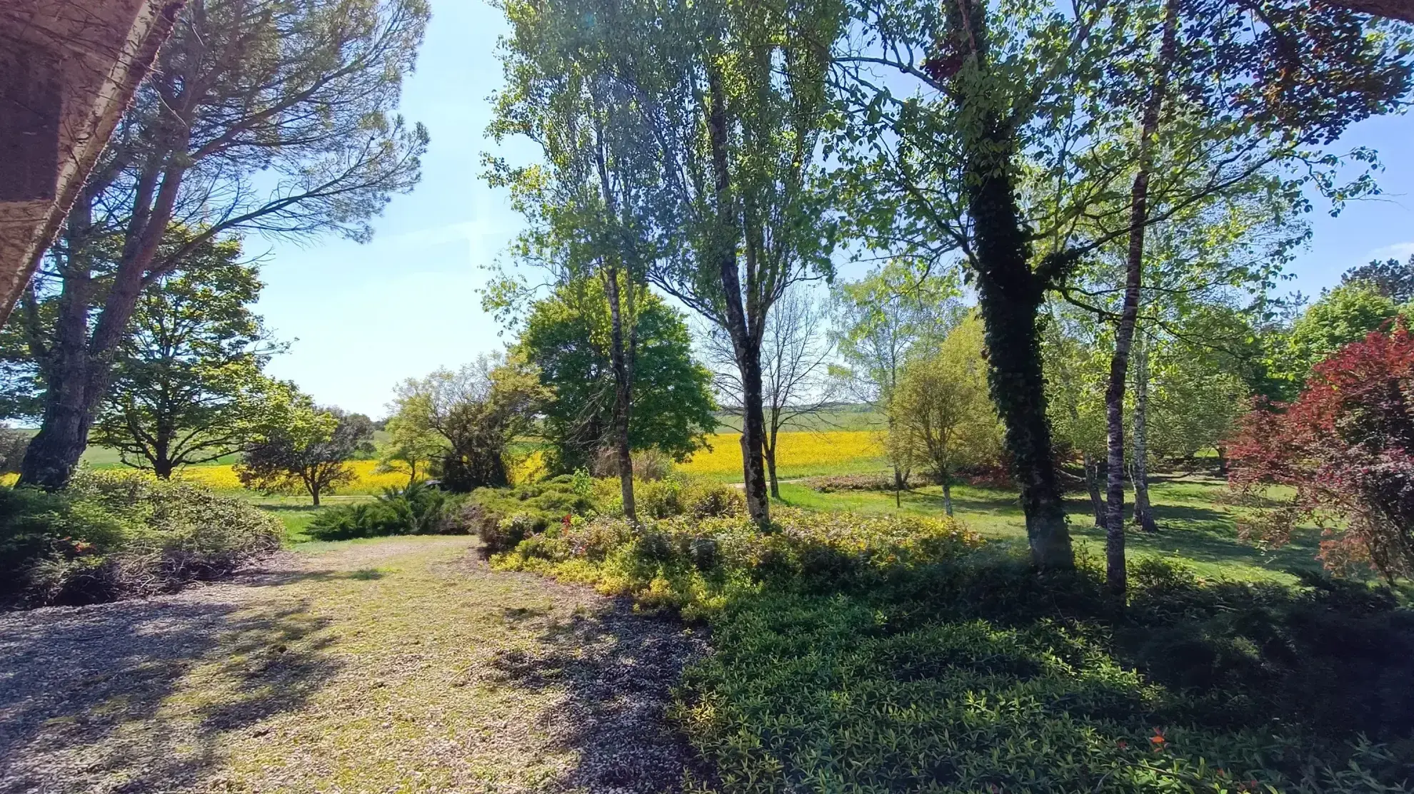 Maison d'architecte à Sorges avec grand terrain et style unique en pleine nature 