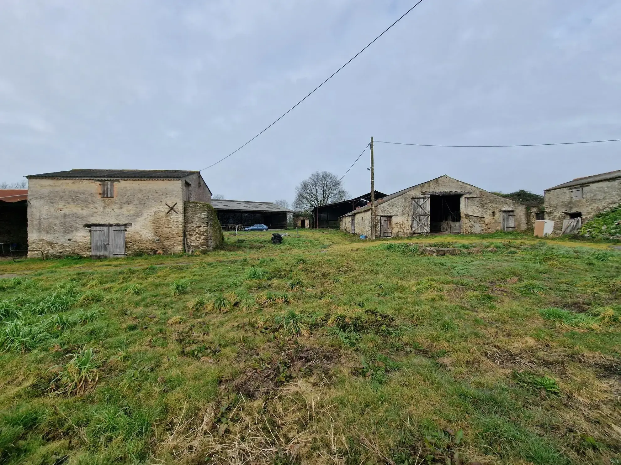 Corps de ferme à rénover sur 3 hectares à Machecoul - Opportunité agricole 