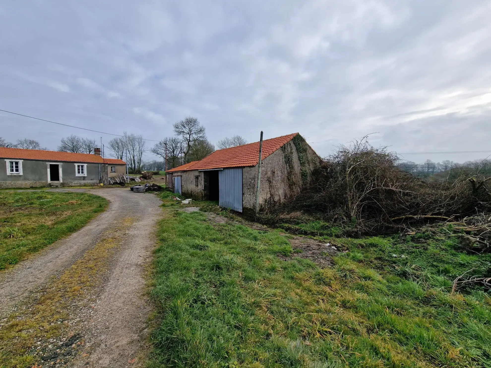Corps de ferme à rénover sur 3 hectares à Machecoul - Opportunité agricole 