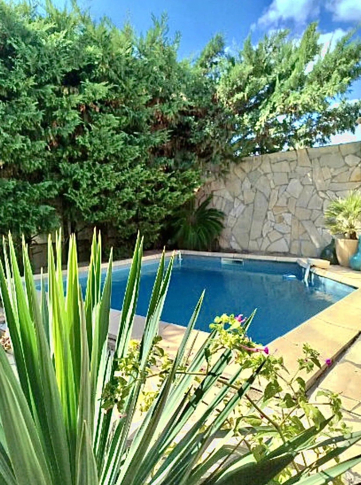 Belle maison avec piscine à Pomerols - Terrasse et garage