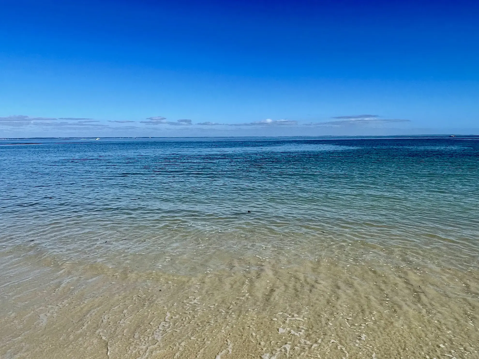 Studio lumineux avec vue port à Port-Haliguen, Quiberon – Investissement saisonnier idéal 