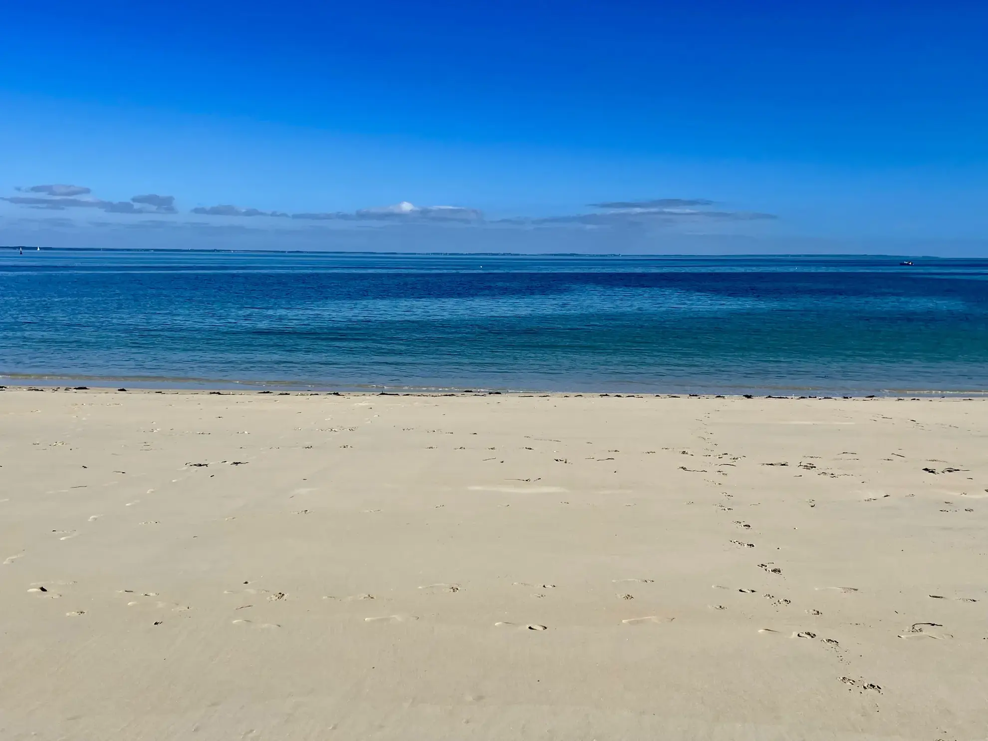 Studio lumineux avec vue port à Port-Haliguen, Quiberon – Investissement saisonnier idéal 