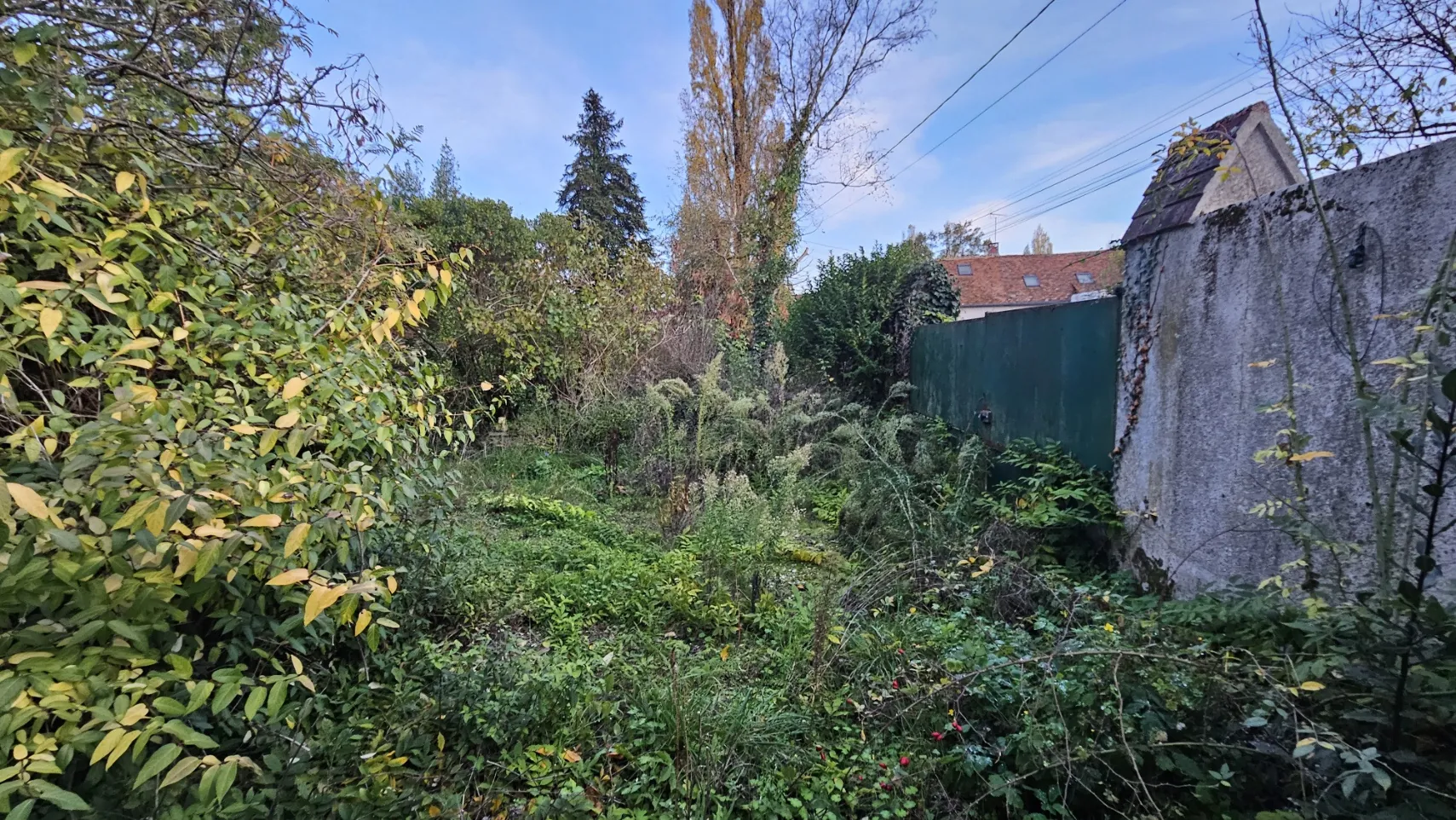 Maison à rénover de 67 m² avec jardin à Saint-Lubin-en-Vergonnois 