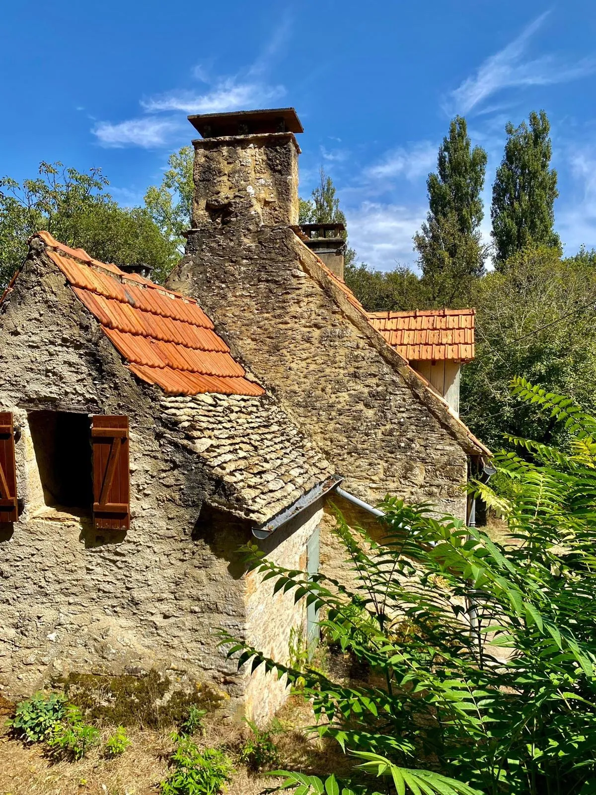 Maison en pierre rénovée avec dépendances et grand terrain à Carsac 