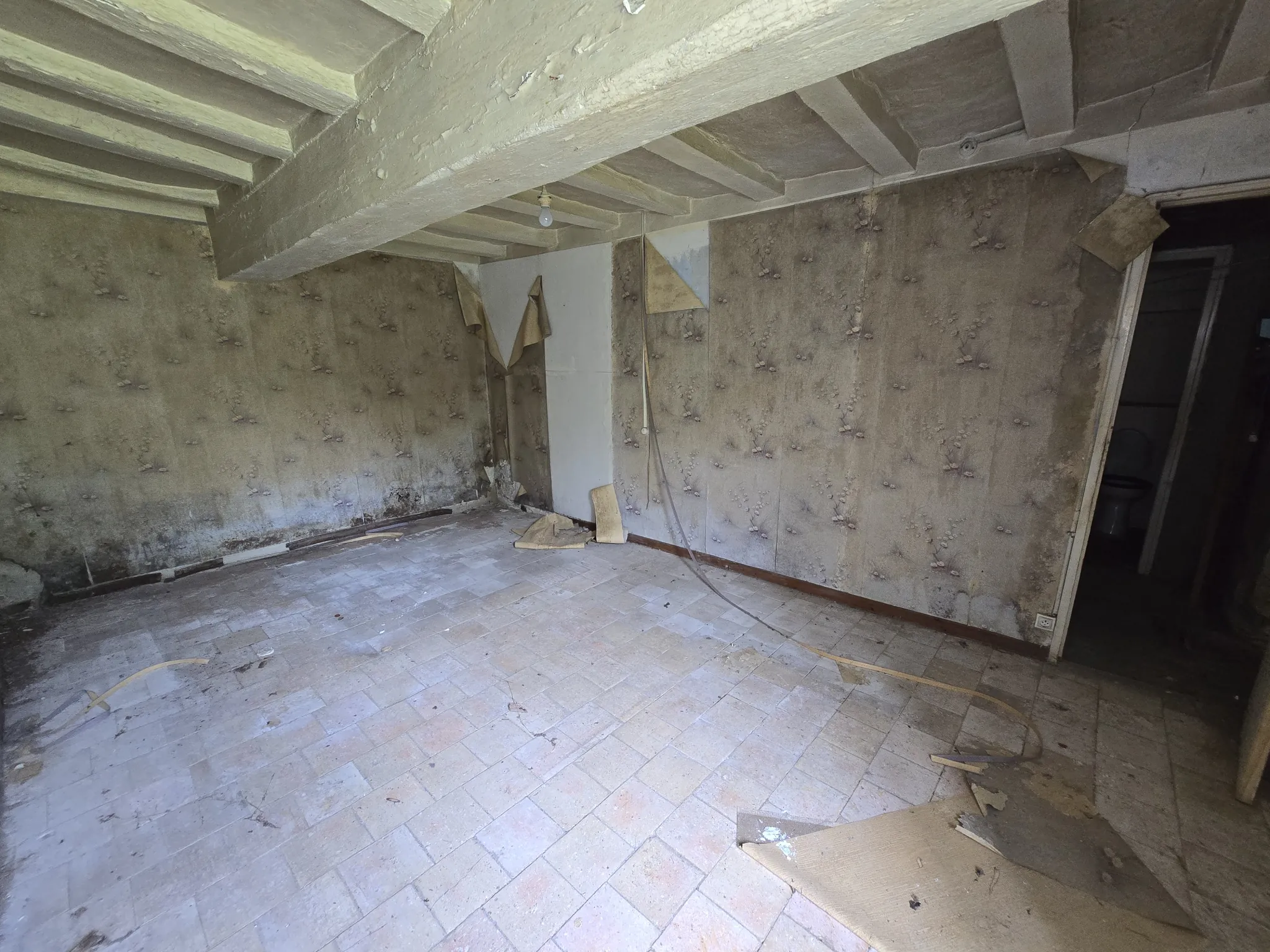 Maison à rénover à Azay le Ferron - 63 m² avec potentiel 