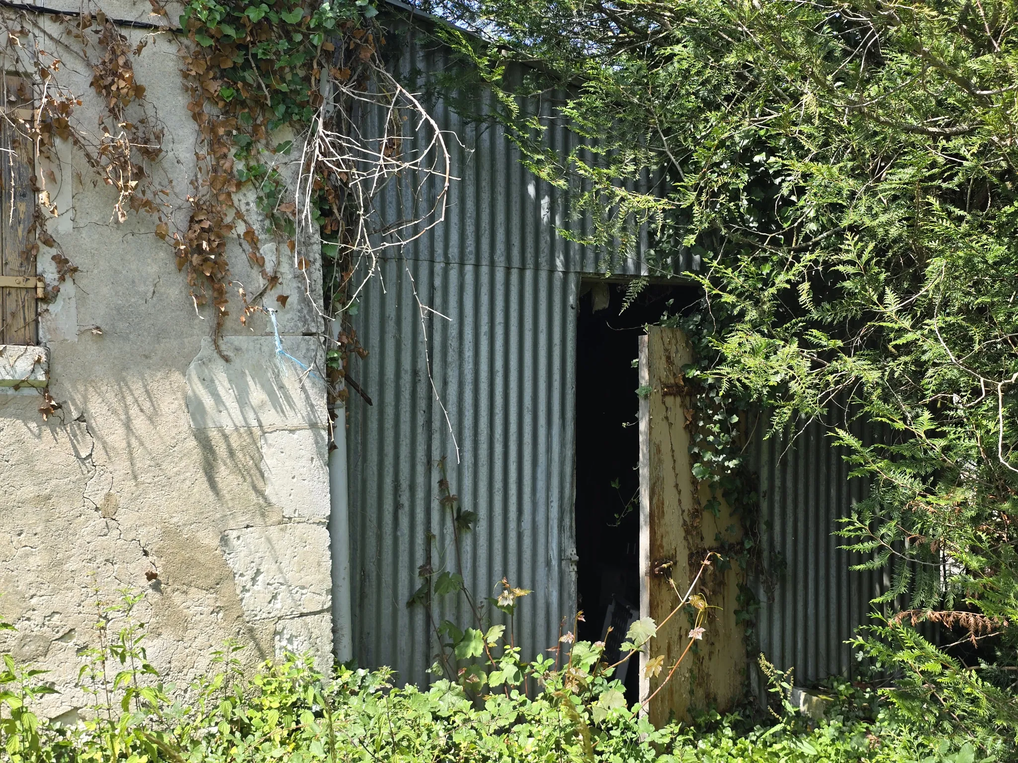 Maison à rénover à Azay le Ferron - 63 m² avec potentiel 