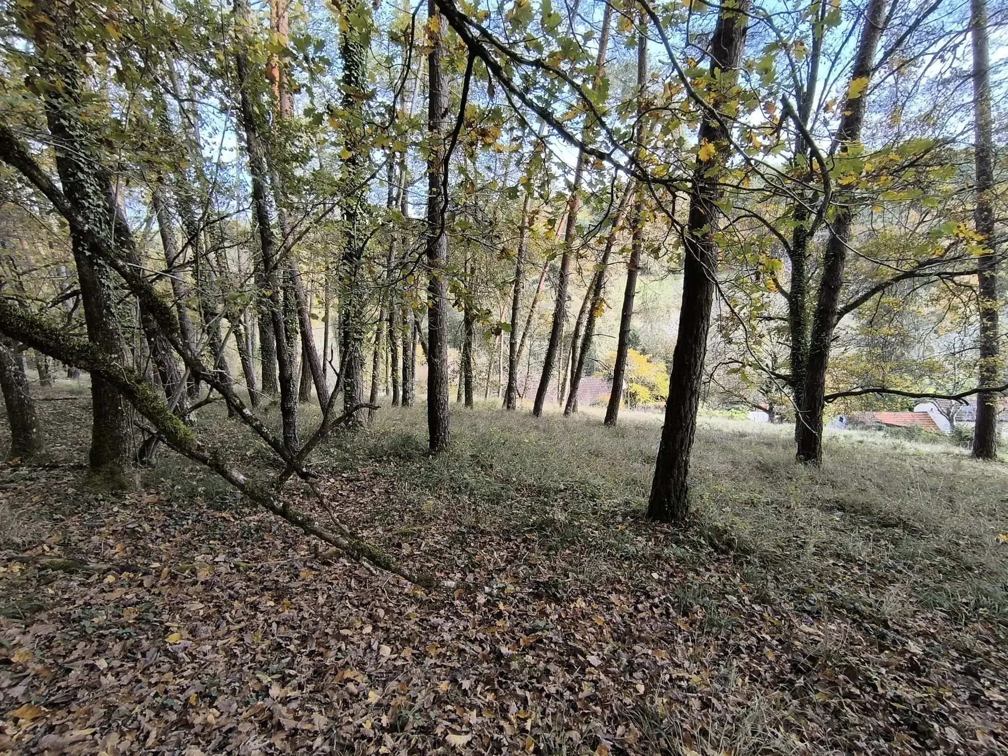 Maison familiale 4 chambres à Chancelade avec grand terrain et potentiel de rénovation 